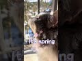 Do You Smell That? Our Cat does! 😻
