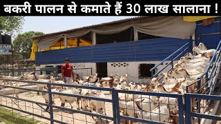 दो भाई इस बकरी फैक्ट्री से कमा रहे हैं मोटा मुनाफा | Goat Farm Tour | Goat Farming