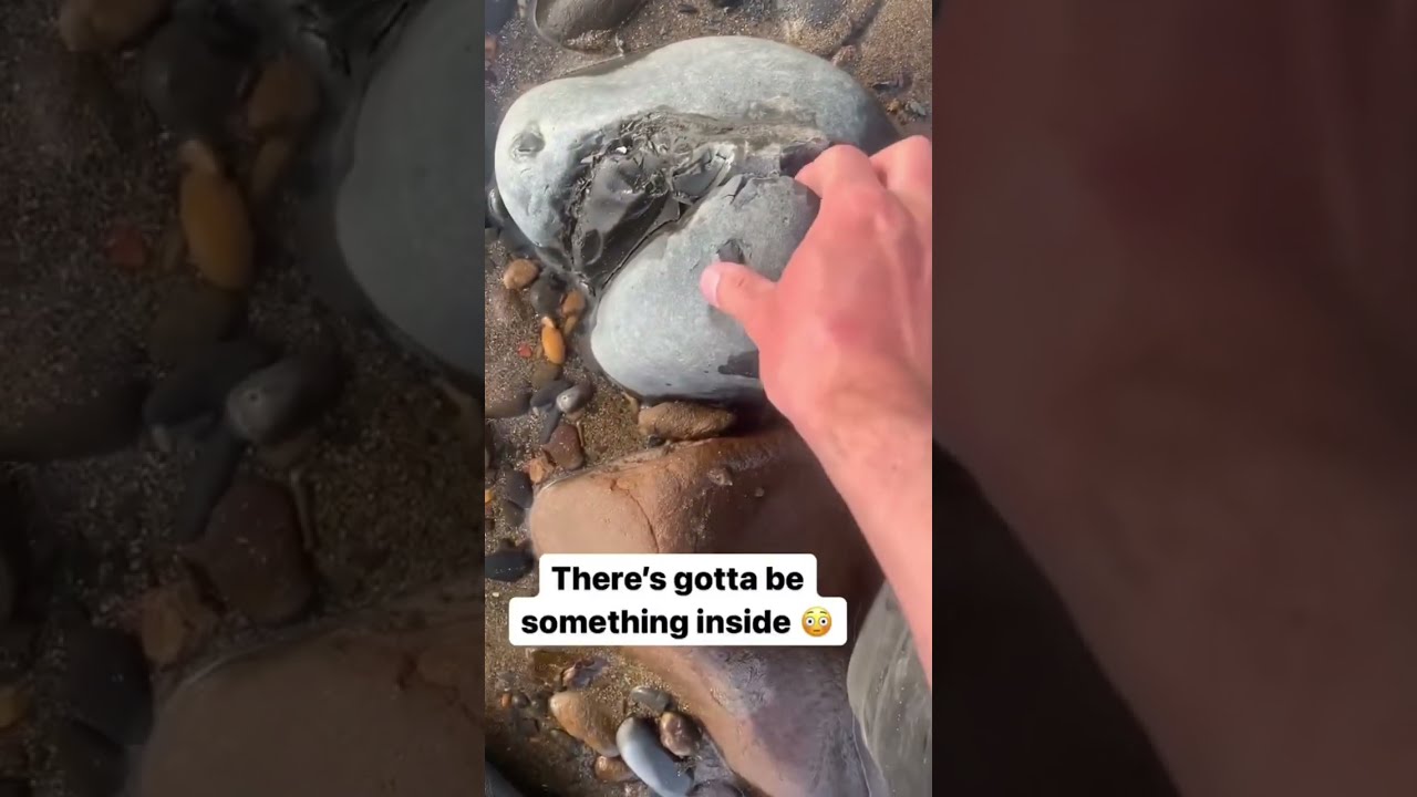 Ammonite Hunting Cracking Open A Massive Rock 