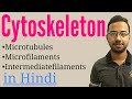 cytoskeleton structure and function | microtubules microfilaments intermediate filaments | lecture