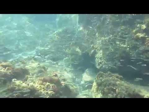Batis Underwater /