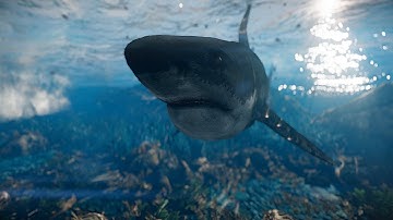Crysis | UHD 4K - 3840X2160 | High Quality Hexagon Bokeh DOF