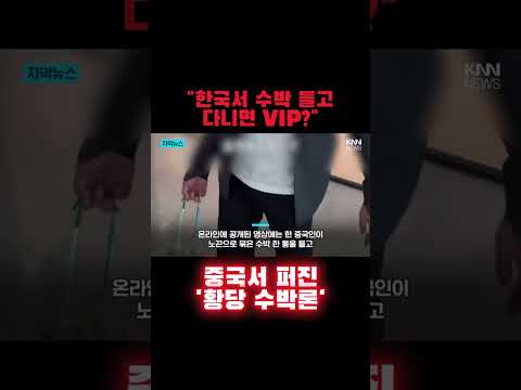 "한국서 수박 들고 다니면 VIP?" 중국서 퍼진 '황당 수박론'