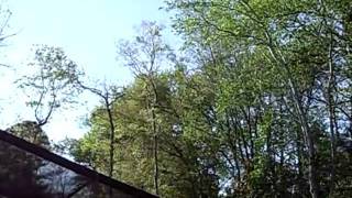 CIMG2427