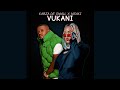 Kabza De Small ft. Msaki - Vukani (Official Audio)