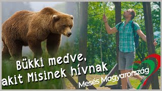 Bükki Medve (MisiMackó) - Nógrád tájegység