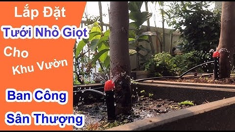 Lắp Hệ Thống Tưới Nhỏ Giọt Tự Động Cho Cây Cảnh,Vườn Rau Trên Ban Công & Sân Thượng | Thagi Garden