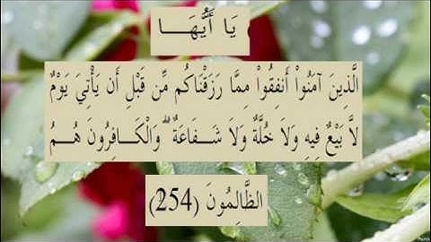 القران الكريم سورة البقرة الاية 254