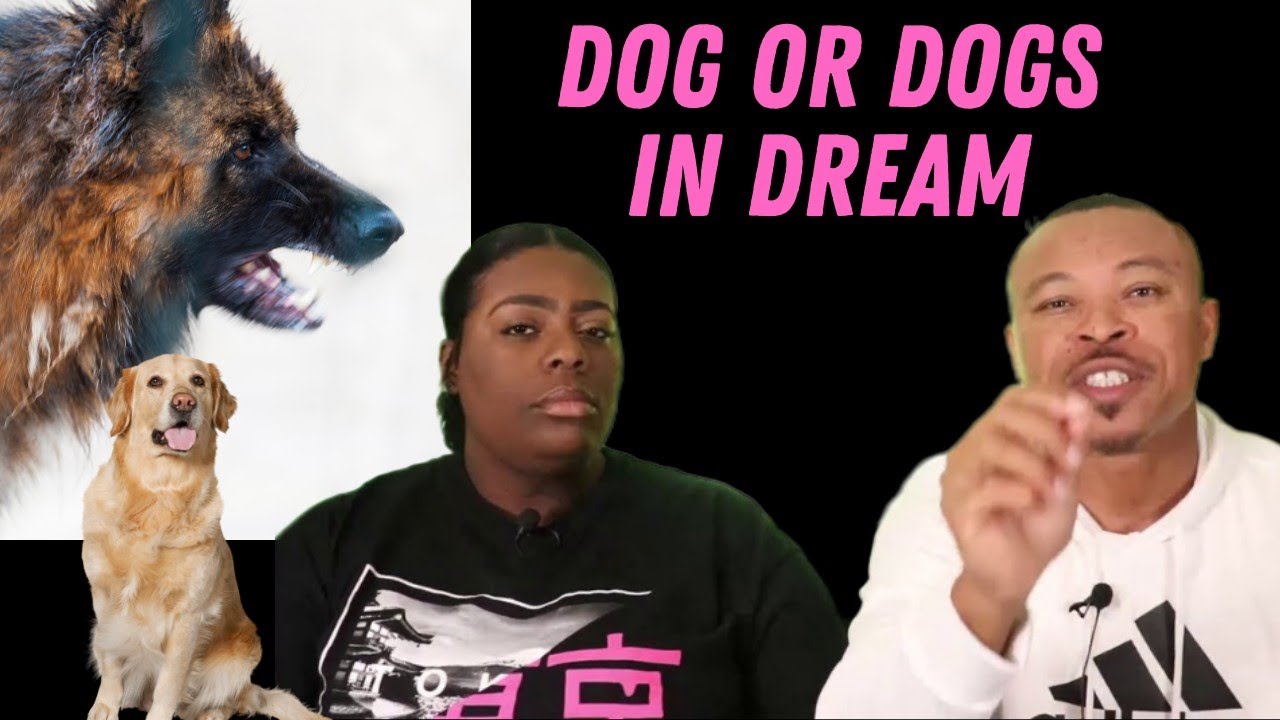 free download dreaming of dogs free download dreaming of dogs