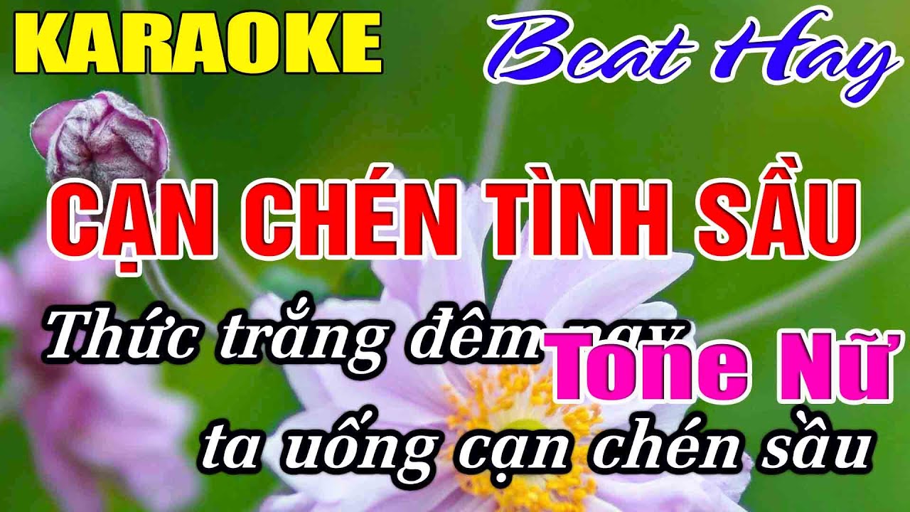 Cạn Chén Tình Sầu Karaoke Tone Nữ Karaoke Hải Nhạc Sống 2026 - Beat Mới