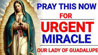 Powerful Prayer to Our Lady of Guadalupe for Urgent Miracle