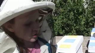 Видео для детского садика и посвящение в пчеловоды))) Видео для детского садика и посвящение в пчеловоды)))