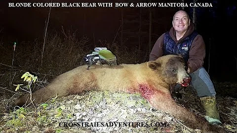 Manitoba Blonde Bear Bow & Arrow HUNT Sandy Lake, ...