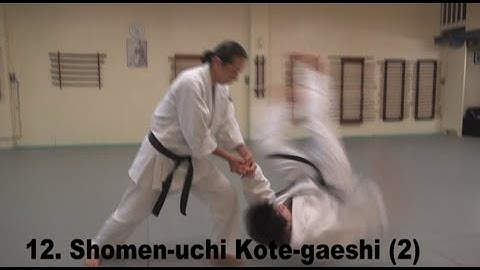 4th kyu grading syllabus- 2nd pattern basic techniques & 6 throws