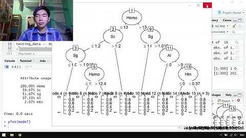 Implementasi Algoritma Decision Tree Menggunakan RStudio