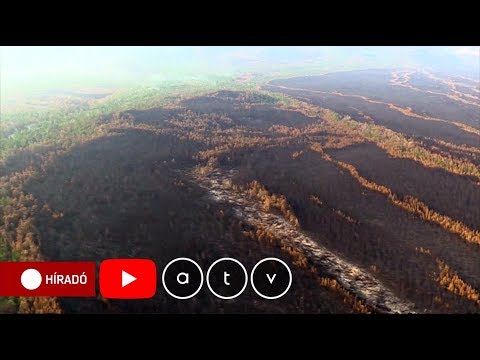 Videó: Miért Veszélyesek Az Erdőtüzek?