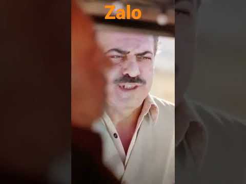 Zalo | Sermiyan MİDYAT