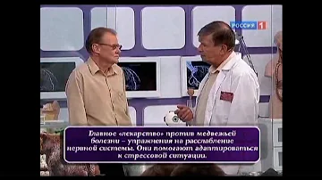 Василенко В.В., Агапкин С.Н. 