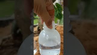 Botol Plastik Minuman 350ml Jus Kale Tutup Aluminium SILVER Botol Plastik Tahan Panas Jar Almond