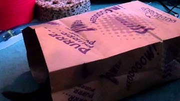 Cody and Catnip Cave