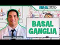 Neurology | Basal Ganglia Anatomy & Function | Direct & Indirect Pathways