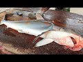 Live Huge Shark Fish | Amazing Fish Cutting Skills | Skin Out And Kabbab Pieces