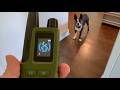 4500FT Dog Training Collar Review: My dog runs in front of cars! Did Jugbow Collar help?