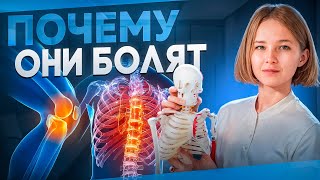 ИЗ-ЗА ЭТОГО У ВАС БОЛЯТ КОЛЕНИ И СПИНА | ЭВОЛЮЦИЯ ДВИЖЕНИЯ ЧЕЛОВЕКА