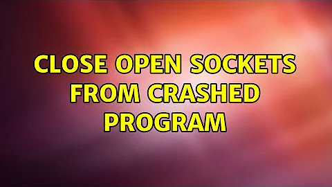Close open sockets from crashed program