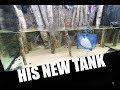 New aquariums for the fish New aquariums for the fish