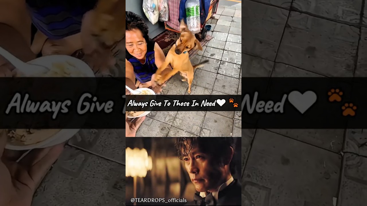 Always Give to Those in Need 🤍🐾 | A Lesson from the Heart