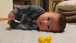 たつごろう Youtube