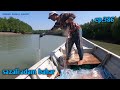 Menjaring ikan belanak ep.386