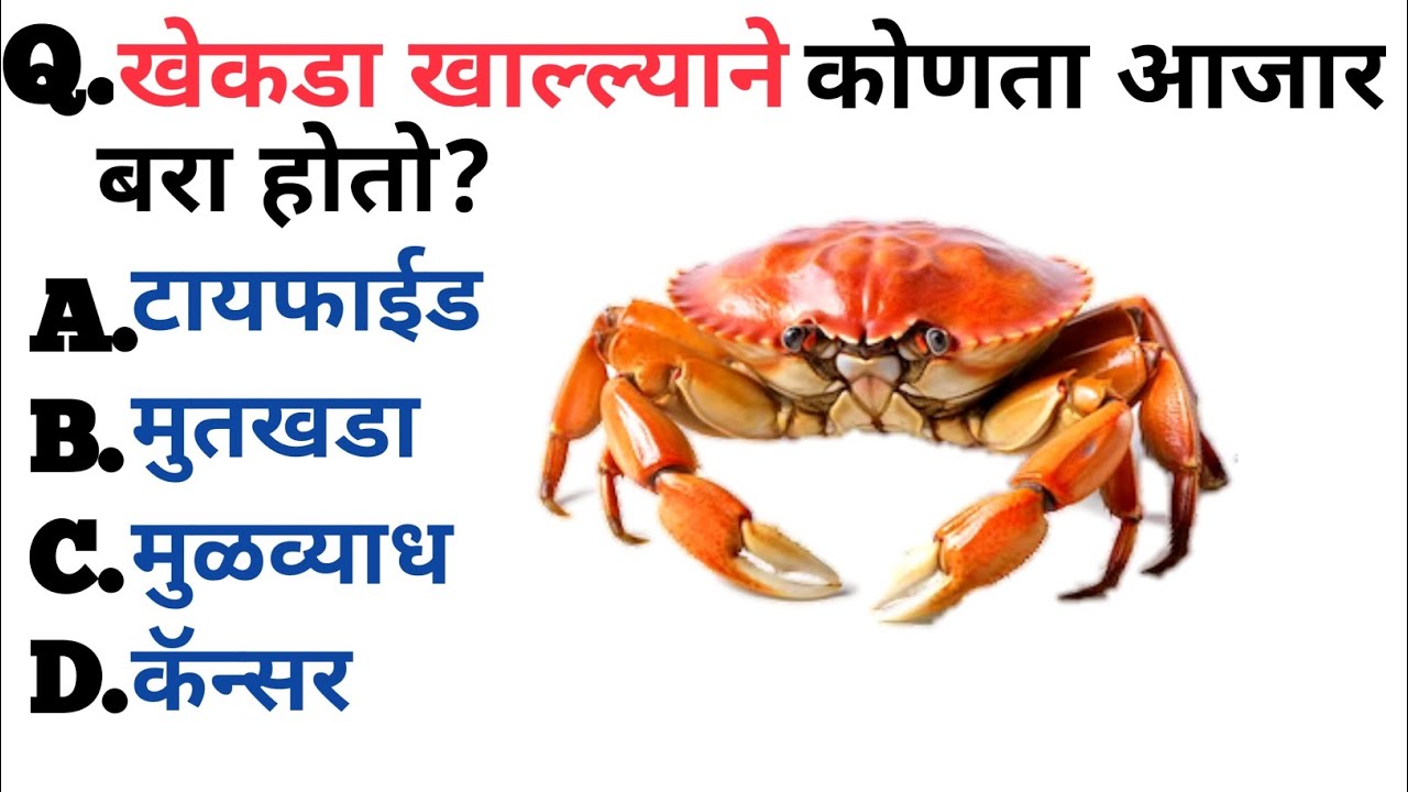 Gk Marathi Questions And Answer Gk Marathi Quiz marathi Gk Questions gk-marathi-questions-and-answer-gk-marathi-quiz-marathi-gk-questions