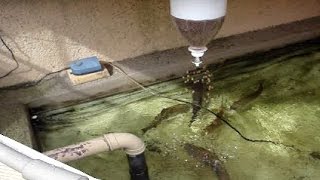 How to build a homemade automatic fish feeder