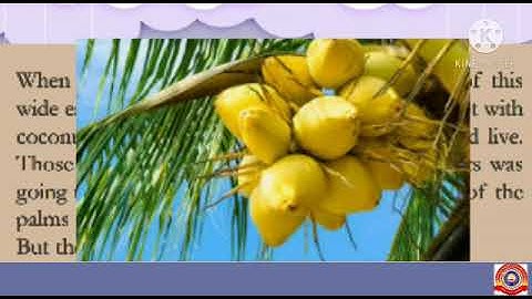 KRSMA#Standard 6 English Part 2 Unit 3 Lesson 2 The Rightful Inheritors Of The Earth.