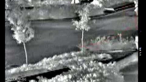 Ex-Sight.Com Video Analytics on Thermal uncooled 9Hz 320x240 pixels Opgal sensor