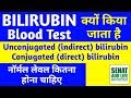 How does conjugated bilirubin enter the blood? - YouTube