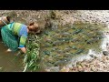 How to catch fish with smart hands, catch fish naturally in a wild lake, survival instinct