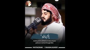 حالات واتس اب / رعد الكردي Raad Al kurdi Whatsapp status / تلاوة رعد الكردي جميلة ❤️