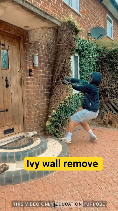 This Ivy Wall Looks Amazing—So Why Remove It?