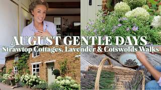Download Lagu Harvesting Lavender at Home ๐ฟ | DIY Lavender Uses \u0026 Life in the Cotswolds ๐ธ MP3 Download Lagu Harvesting Lavender at Home ๐ฟ | DIY Lavender Uses \u0026 Life in the Cotswolds ๐ธ MP3