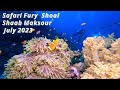 Safari Fury Shoal - Shaab Maksour