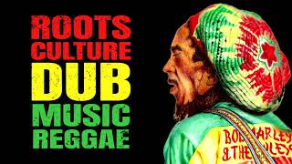 3 HOURS of Reggae Music Mix Instrumental