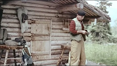 Cabin Alone in the Alaskan Wilderness  - Dick Proe...