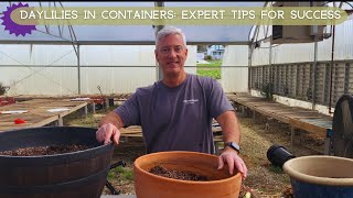 Daylilies in Containers: Expert Tips for Success