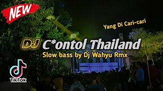 DJ TON SPIRIT X GUYGEEGE REMIX TERBARU 2021 || LAGU THAILAND VIRAL TIKTOK