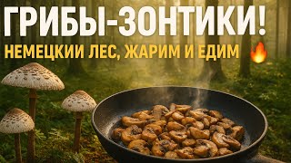 ГРИБЫ В ГЕРМАНИИ! Жарим зонтики в кляре