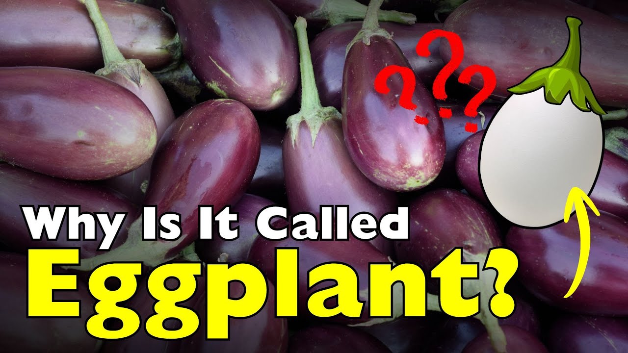 Why Is It Called Eggplant? The Name That Makes No Sense—But Here’s Why