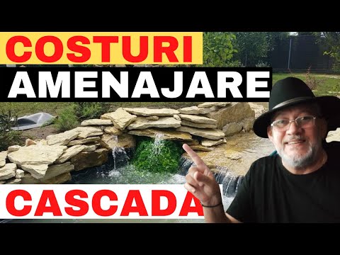 Video: Cum așezi pietre pentru o cascadă?